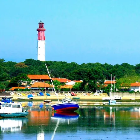 Ferret Family Les Embruns